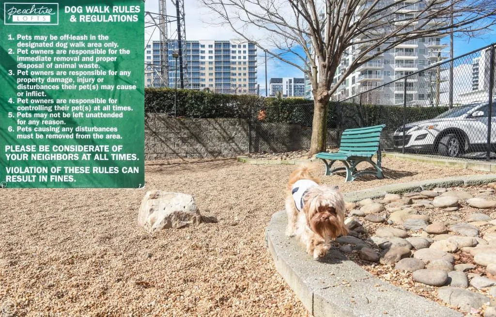 878 Peachtree Street Ne Unit 431, Atlanta, Georgia 30309, 1 Bedroom Bedrooms, ,1 BathroomBathrooms,Residential,For Sale,878 Peachtree Street Ne Unit 431,7575393