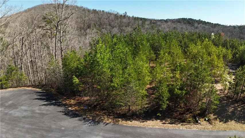 0 Olde Rockhouse Lane, Demorest, Georgia 30535