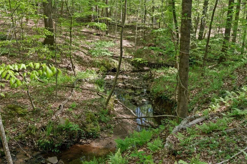 82-web-or-mls-Abbington River (66).jpg