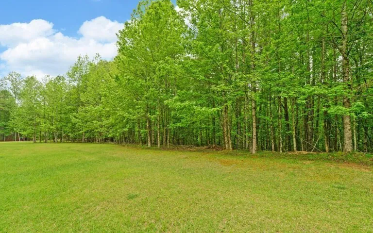 0 Honey Tree Terrace, Dahlonega, Georgia 30533