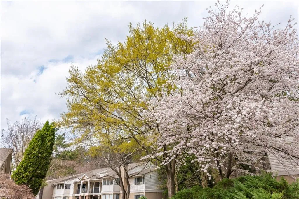 2013 Wingate Way, Sandy Springs, Georgia 30350, 2 Bedrooms Bedrooms, ,2 BathroomsBathrooms,Residential,Sold,2013 Wingate Way,6854210