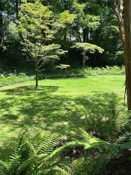 View of green lawn