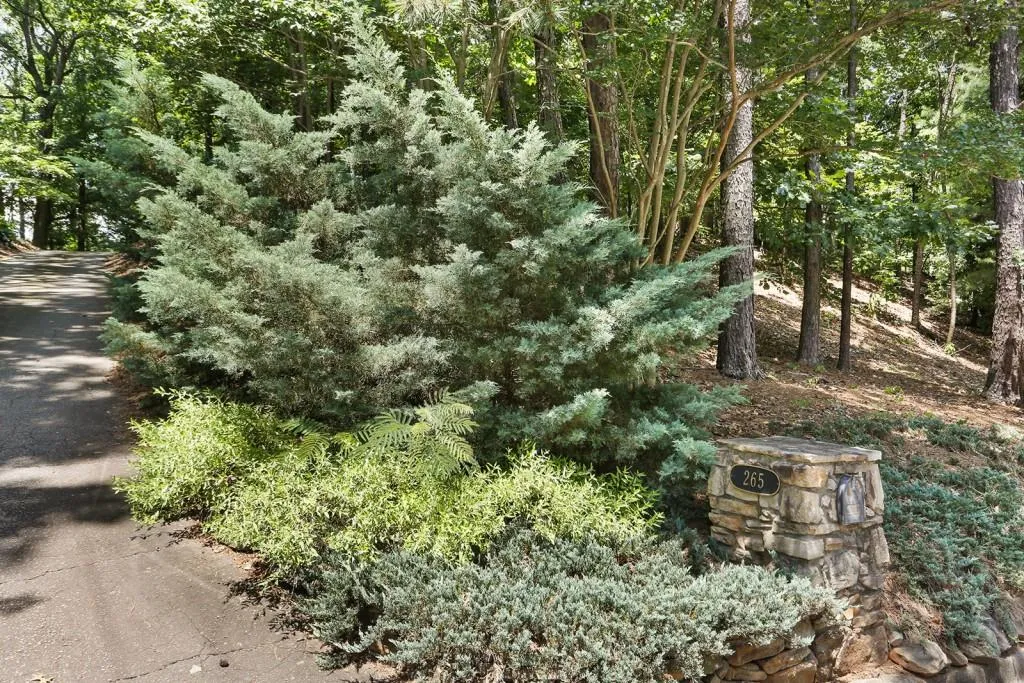 265 Glen Lake Drive, Atlanta, Georgia 30327, 2 Bedrooms Bedrooms, ,2 BathroomsBathrooms,Residential,Sold,265 Glen Lake Drive,6031206