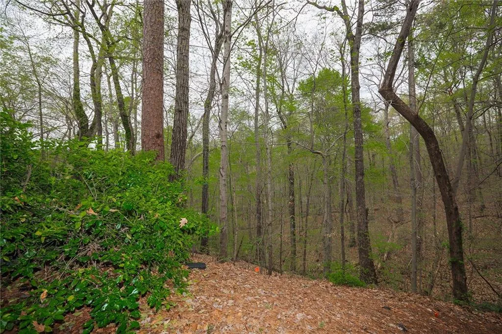 1006 Camden Court, Atlanta, Georgia 30327, 4 Bedrooms Bedrooms, ,3 BathroomsBathrooms,Residential,Sold,1006 Camden Court,6532772
