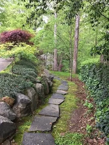 3897 Lake Forrest Drive Ne, Atlanta, Georgia 30342, 3 Bedrooms Bedrooms, ,3 BathroomsBathrooms,Residential,For Sale,3897 Lake Forrest Drive Ne,7643464