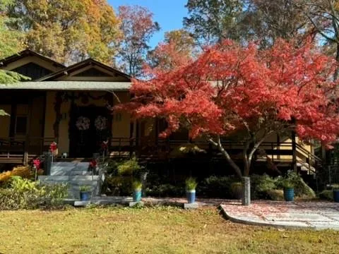 3897 Lake Forrest Drive Ne, Atlanta, Georgia 30342, 3 Bedrooms Bedrooms, ,3 BathroomsBathrooms,Residential,For Sale,3897 Lake Forrest Drive Ne,7643464