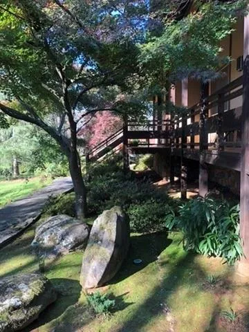 3897 Lake Forrest Drive Ne, Atlanta, Georgia 30342, 3 Bedrooms Bedrooms, ,3 BathroomsBathrooms,Residential,For Sale,3897 Lake Forrest Drive Ne,7643464