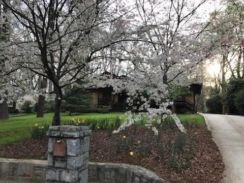 3897 Lake Forrest Drive Ne, Atlanta, Georgia 30342, 3 Bedrooms Bedrooms, ,3 BathroomsBathrooms,Residential,For Sale,3897 Lake Forrest Drive Ne,7643464