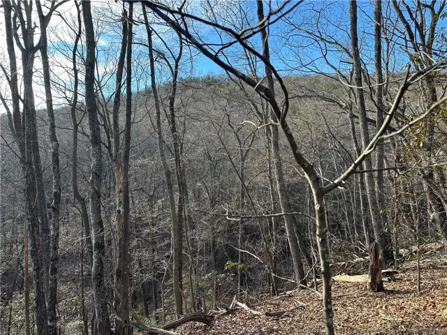 Lot 1141 Oglethorpe Mountain Road.
