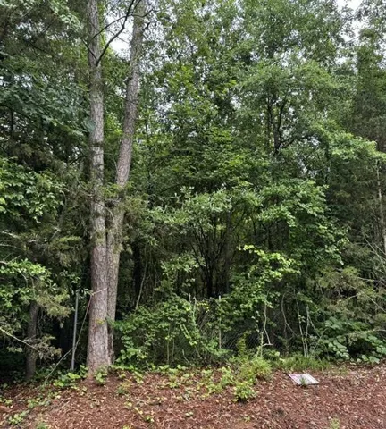0 Lewis Drive, Lavonia, Georgia 30553