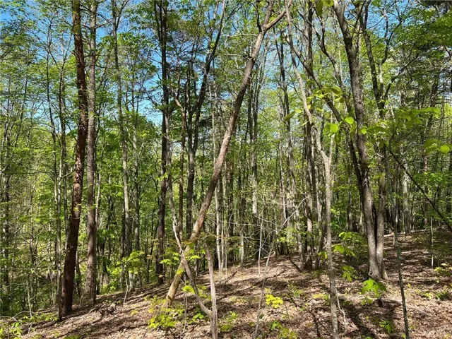 269 Appleberry Mountain Road, Waleska, Georgia 30183