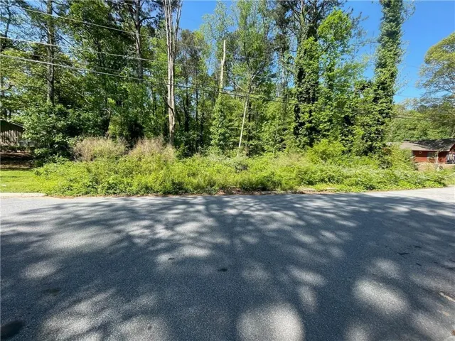 Cleared lot with abundant natural greenery and a backdrop of mature trees