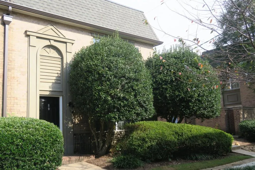 6980 Roswell Road Unit F8, Sandy Springs, Georgia 30328, 3 Bedrooms Bedrooms, ,2 BathroomsBathrooms,Residential,Sold,6980 Roswell Road Unit F8,5931685