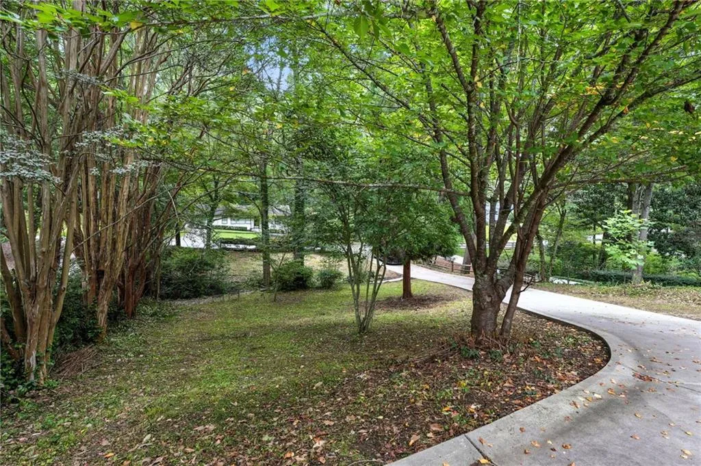 Driveway and Front Yard