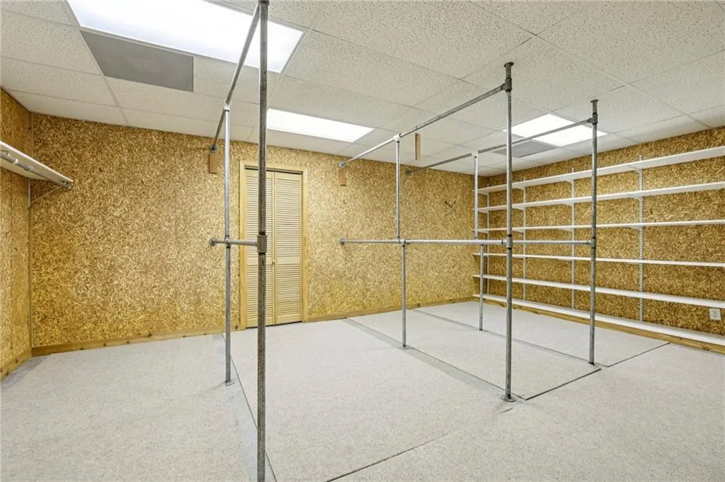 Extensive Basement Storage