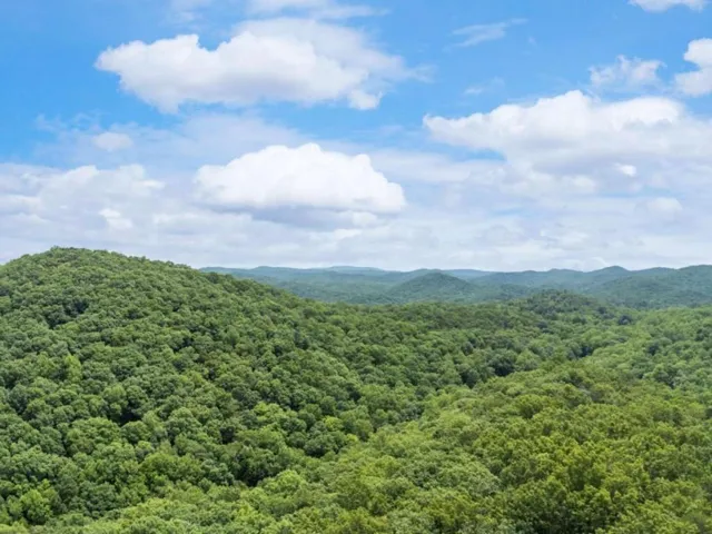 57 Ac Mountain Ash Road, Ellijay, Georgia 30536