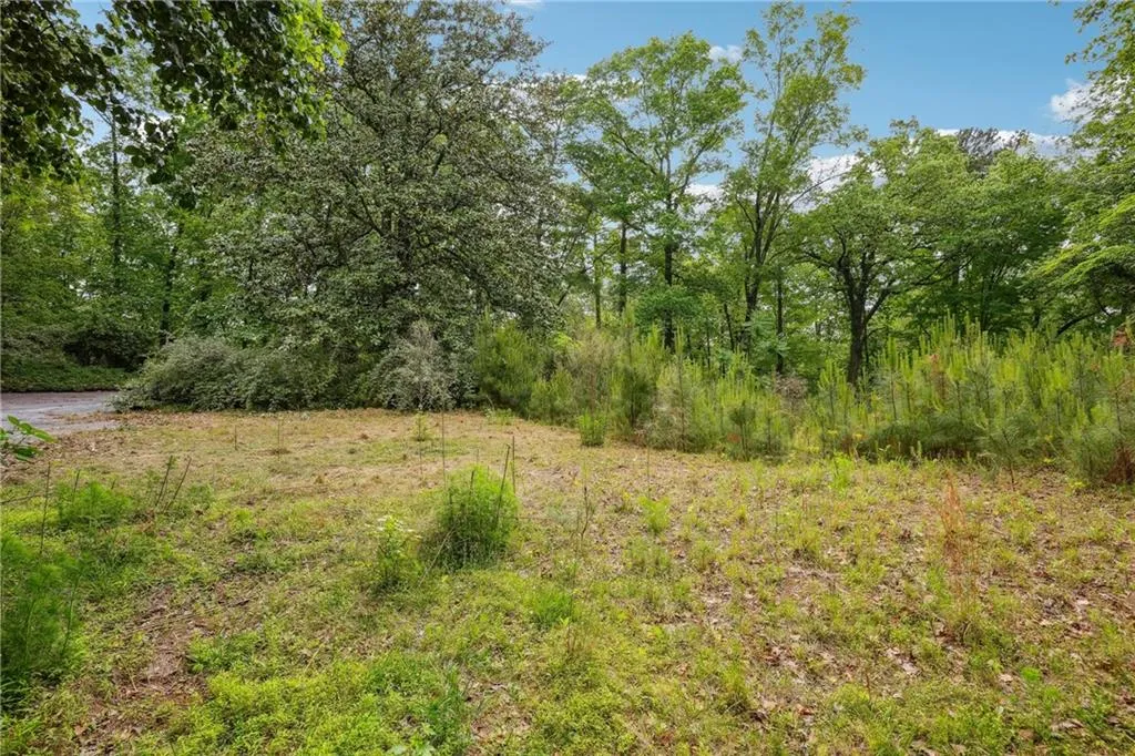 3544 Paces Ferry Road Nw, Atlanta, Georgia 30327, ,Land,For Sale,3544 Paces Ferry Road Nw,7628691
