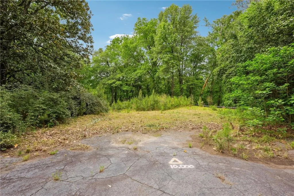 3544 Paces Ferry Road Nw, Atlanta, Georgia 30327, ,Land,For Sale,3544 Paces Ferry Road Nw,7628691
