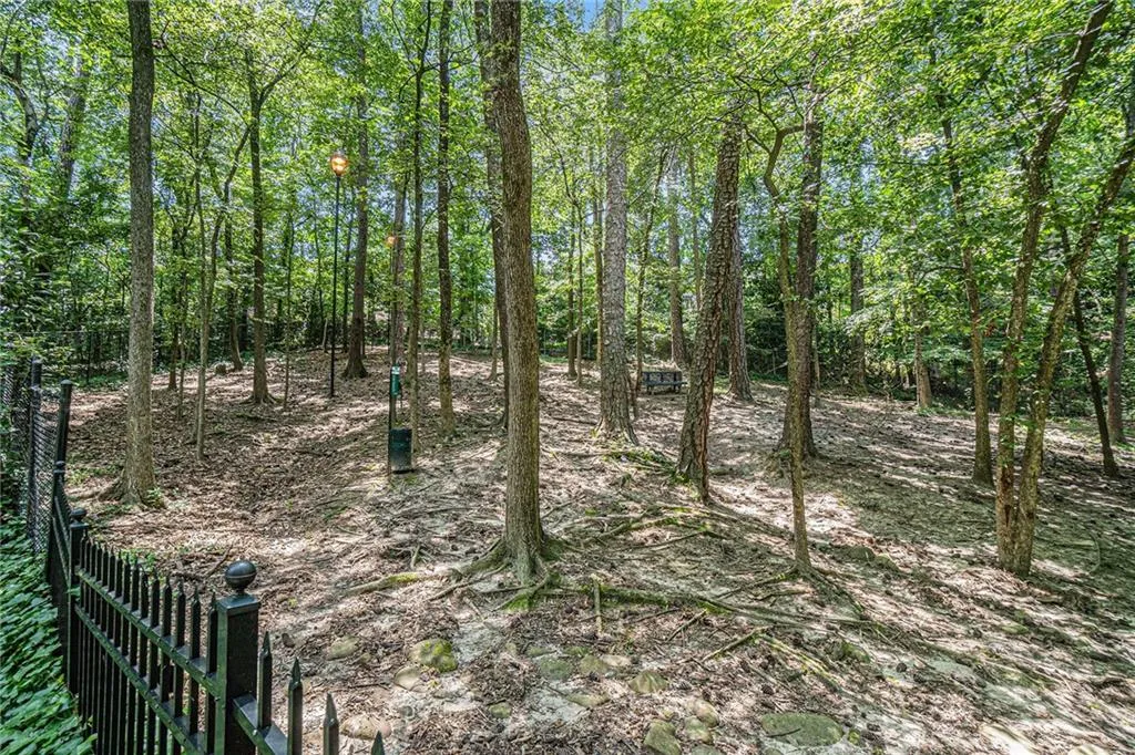 View of undeveloped land