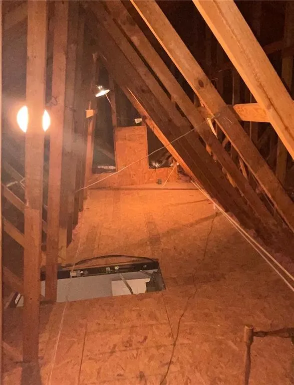 View of unfinished attic