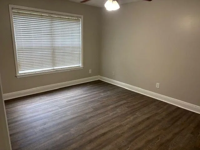 image4.jpeg