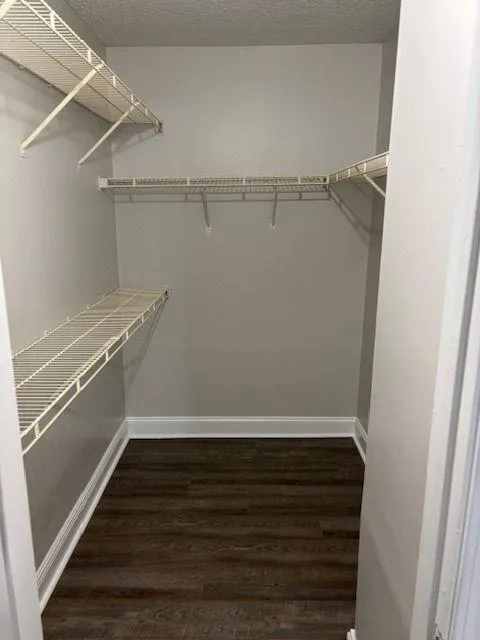 image3.jpeg