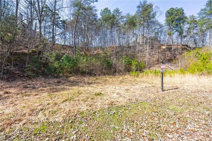53 Somerset Lane, Cartersville, Georgia 30121