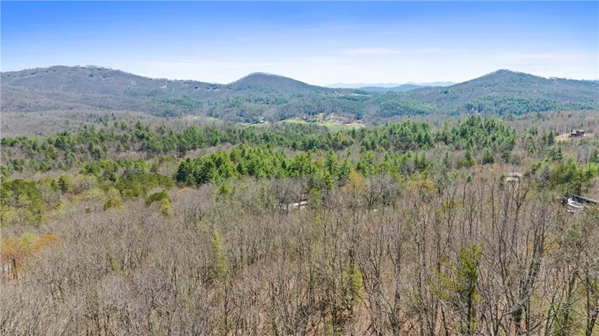 40b Synacia Road, Mineral Bluff, Georgia 30559