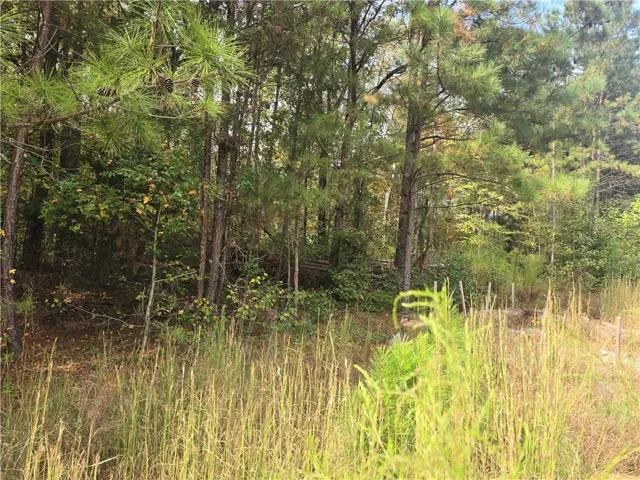 View of wooded area