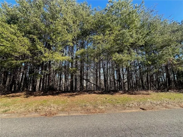 924 Whistler Lane, Canton, Georgia 30114