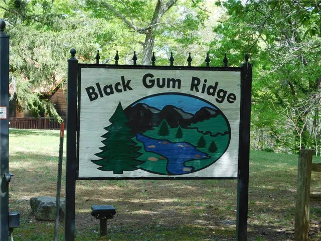 0 Dallas Lane, Blue Ridge, Georgia 30513