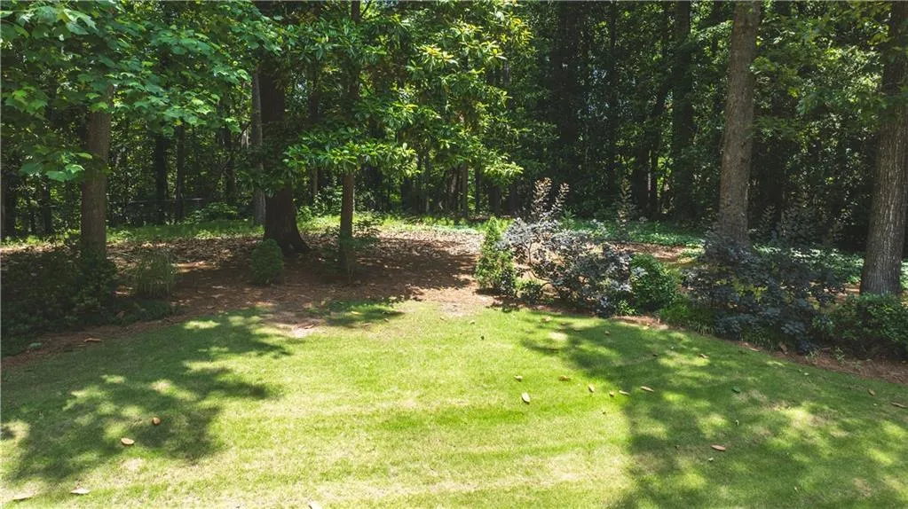 View of grassy yard