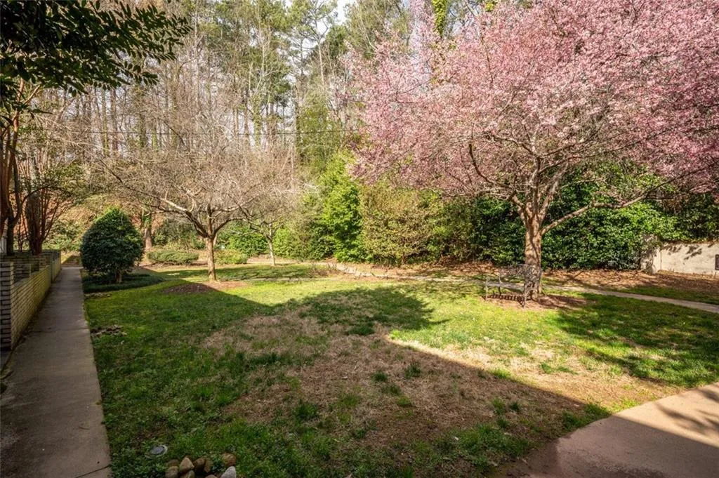 View of green lawn