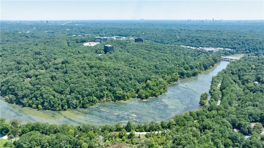 Aerial view of a forest and a large body of water