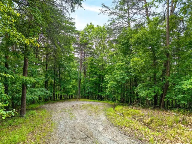 1332 Birch Lane Ne, Ranger, Georgia 30734