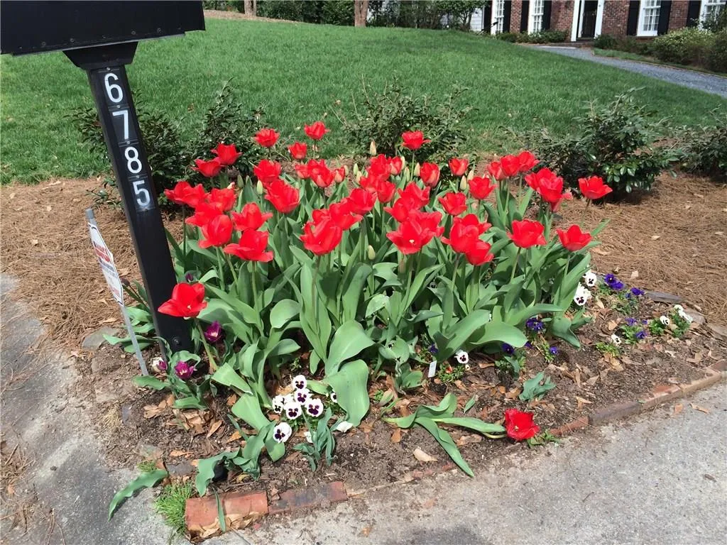 6785 Wright Road, Sandy Springs, Georgia 30328, 3 Bedrooms Bedrooms, ,3 BathroomsBathrooms,Residential,Sold,6785 Wright Road,5639257