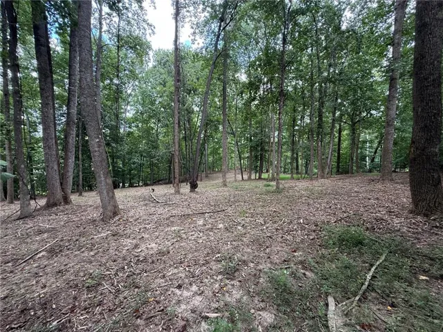 Wooded lot featuring mature deciduous trees and a natural ground cover