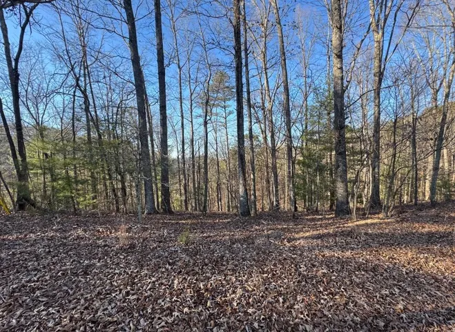 0 Rebekah Ridge, Talking Rock, Georgia 30175