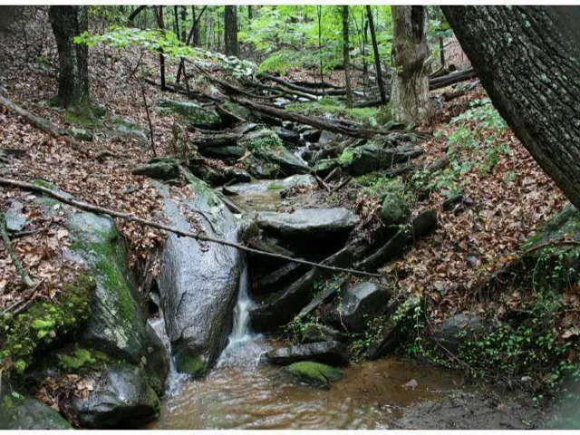 LISTEN TO THE MELODY OF THE MEANDERING STREAM.