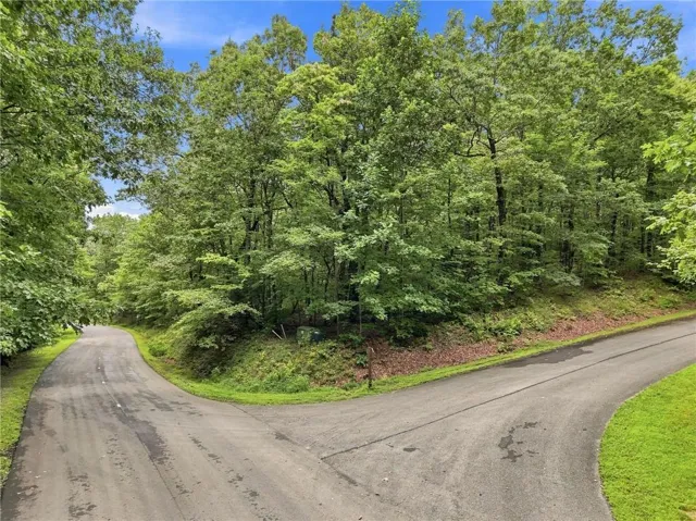 Paved road with a wooded backdrop