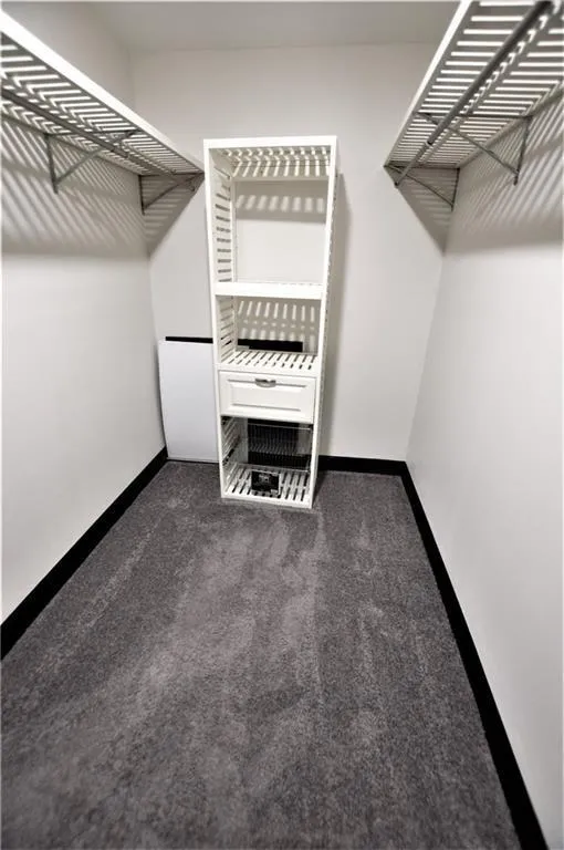 Spacious closet with dark carpet