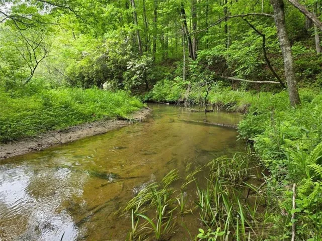 409 Harrison Sluder Road, Ellijay, Georgia 30540