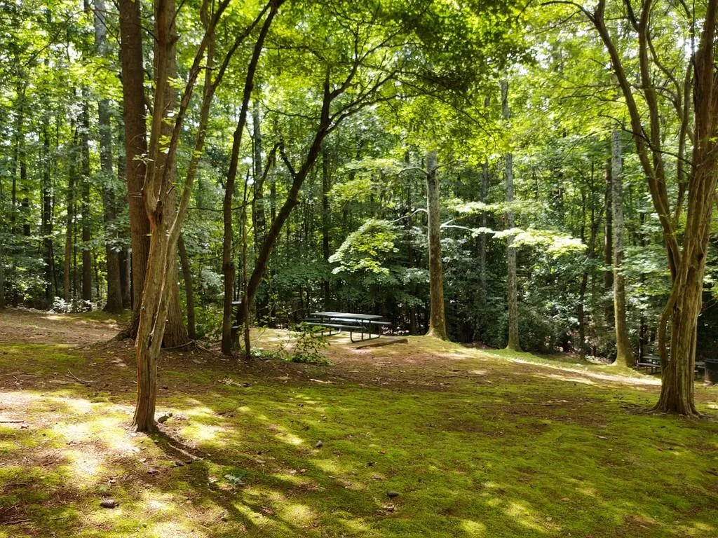 515 Woodmoore Court Ne, Atlanta, Georgia 30342, 6 Bedrooms Bedrooms, ,4 BathroomsBathrooms,Residential,Sold,515 Woodmoore Court Ne,6857223