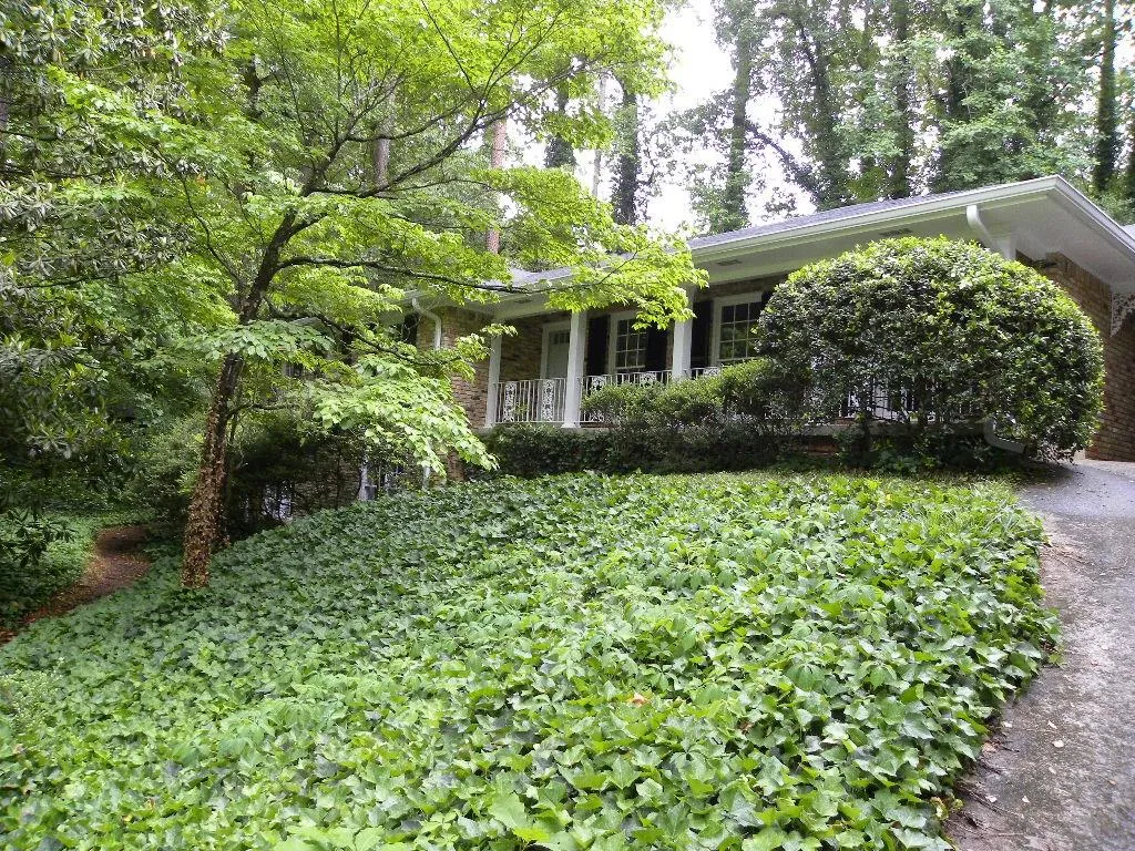 480 Mossyvale Way, Sandy Springs, Georgia 30328, 4 Bedrooms Bedrooms, ,2 BathroomsBathrooms,Residential,Sold,480 Mossyvale Way,5694183