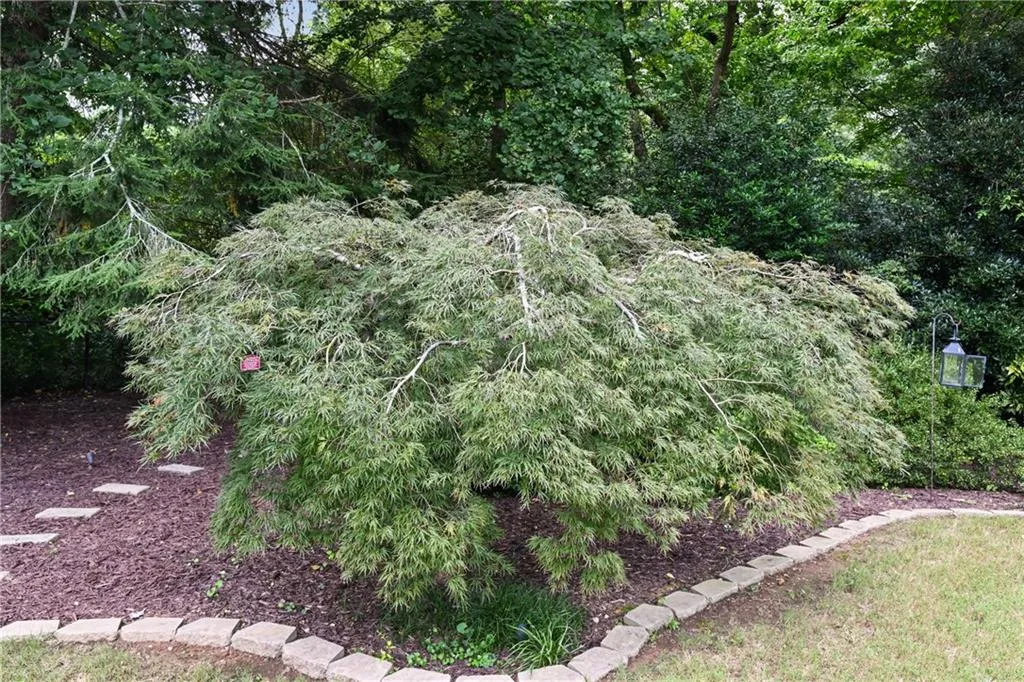 2067 Fairhaven Circle Ne, Atlanta, Georgia 30305, 2 Bedrooms Bedrooms, ,2 BathroomsBathrooms,Residential,For Sale,2067 Fairhaven Circle Ne,7637398