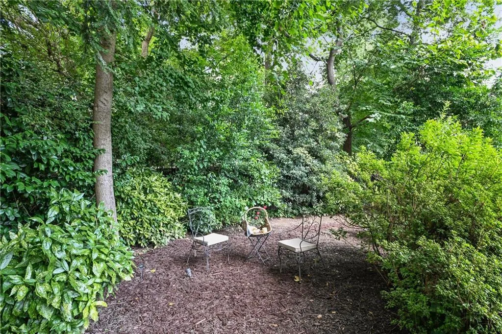 turtle path