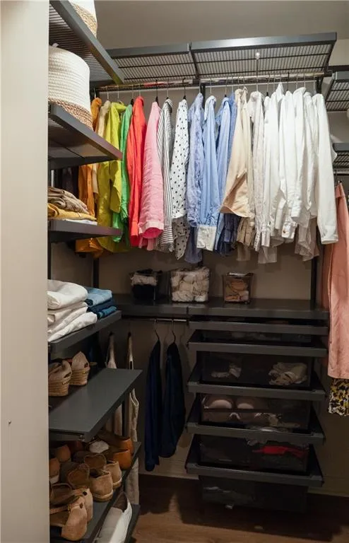 Spacious closet with dark wood-type flooring