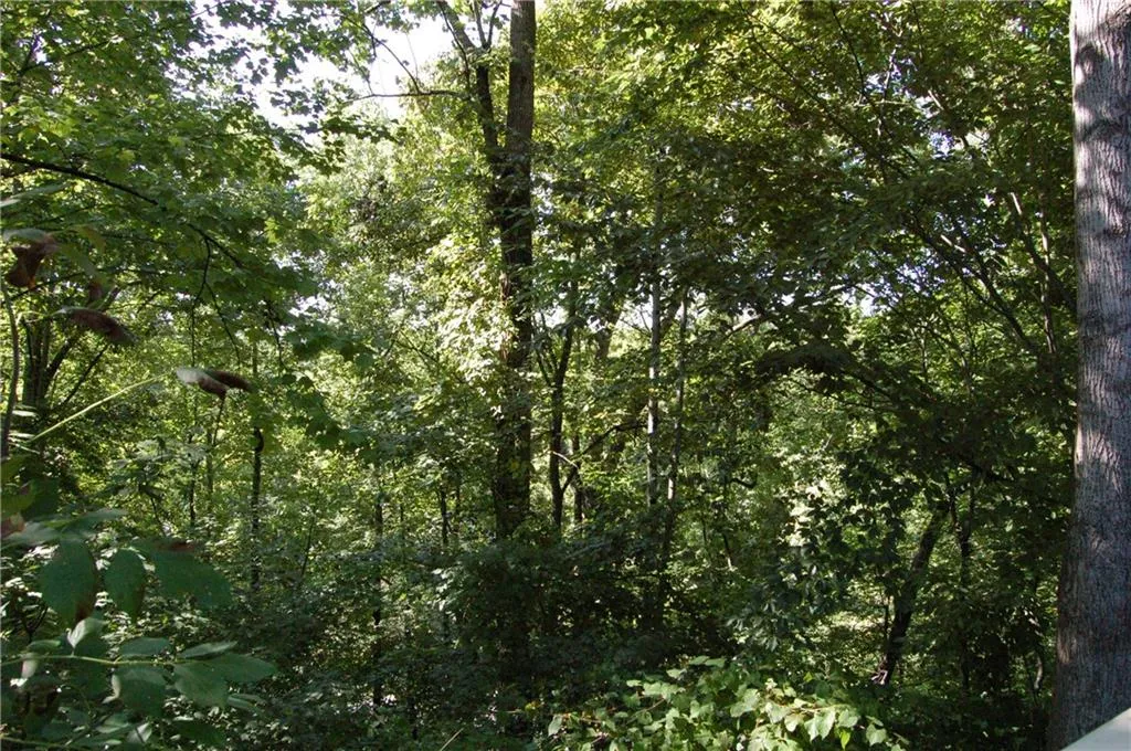 What a view!  Serenity Now!