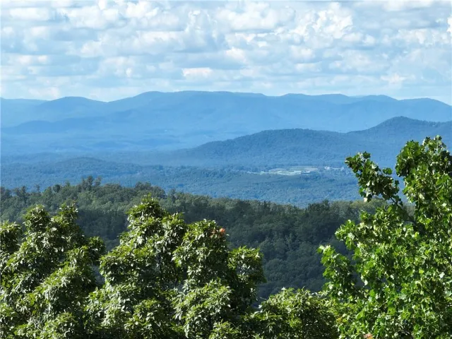 taken just above the trees
