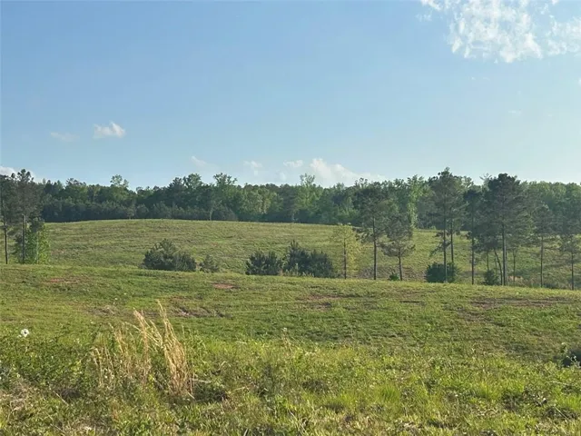 0 Needmore Rd Unit (345.37 Acres), Roopville, Georgia 30170